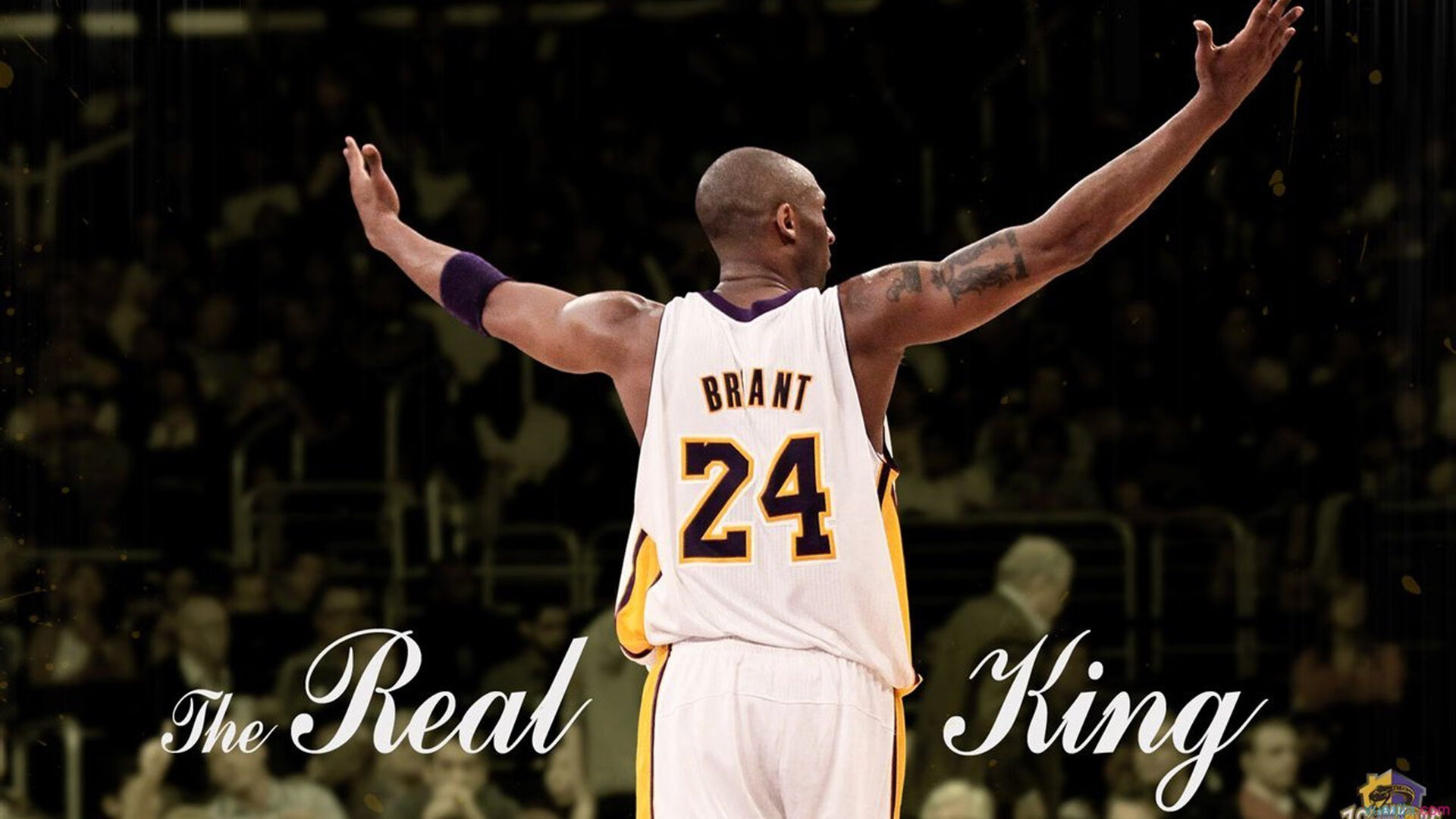 职业联赛品牌传播策略脱节社交趋势，职业联赛的意义